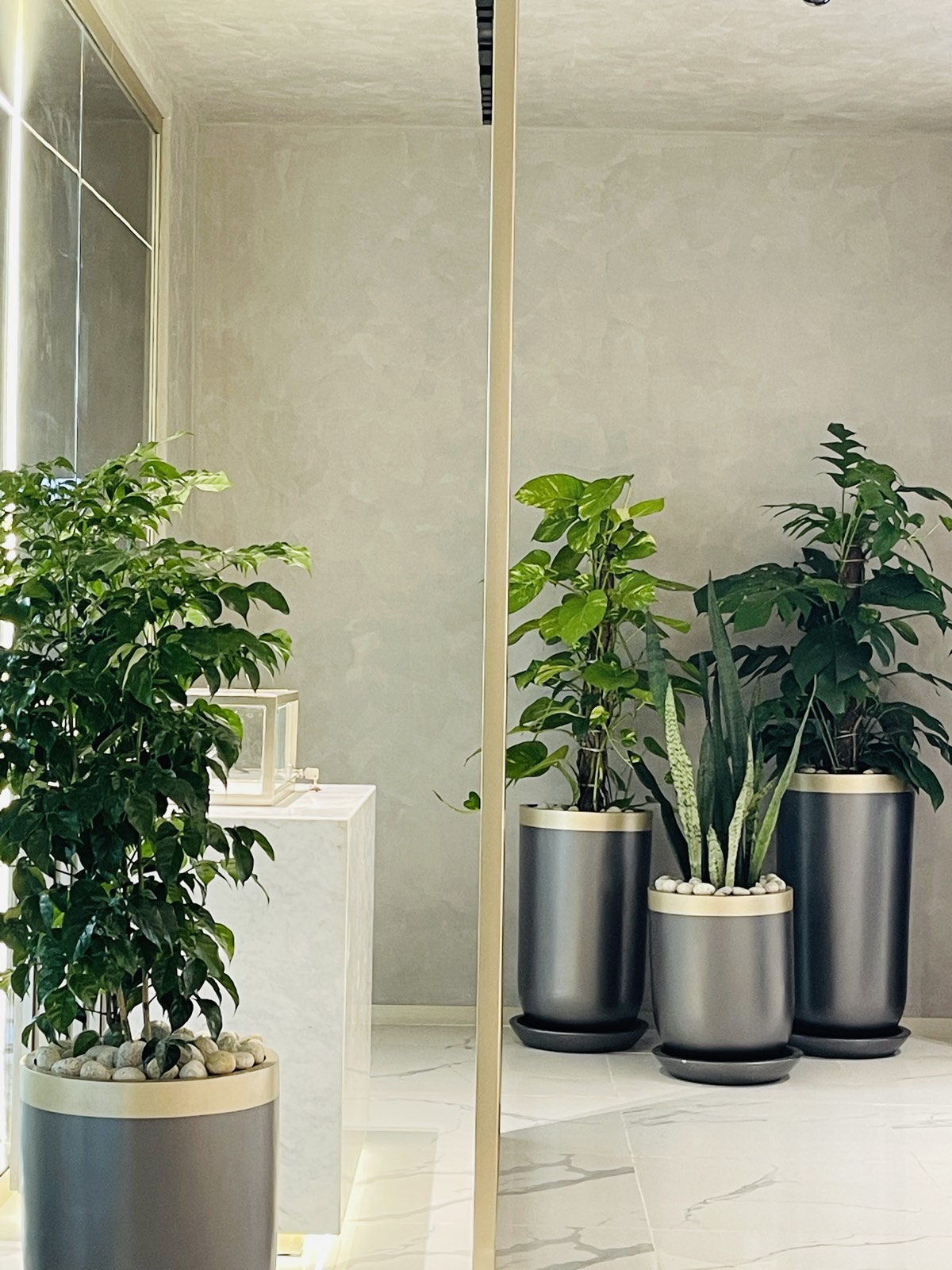 Time Zone — Retail interior by Inner Texture